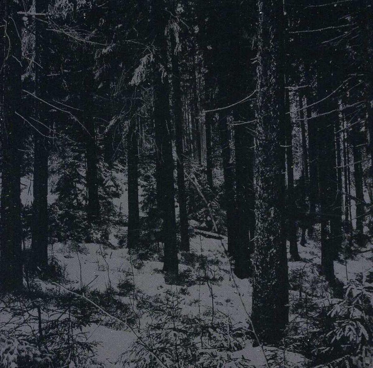 Abstrakter Wald