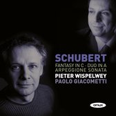 Pieter Wispelwey & Paolo Giacometti - Schubert: Fantasy in C, D. 934/ Duo in A, D. 574/Arpeggione Sonata (CD)