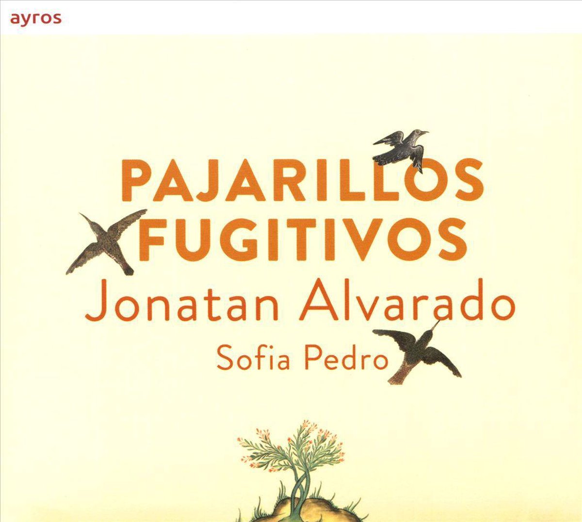 Pajarillos Fugitivos
