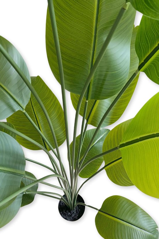 Bovenaanzicht van een groene kunst-bananenplant met veel grote bladeren.