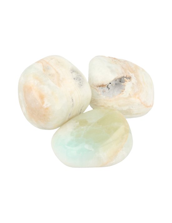 Royal Green Biologische Astaxanthine Capsules Royal Green Biologische Astaxanthine Capsules