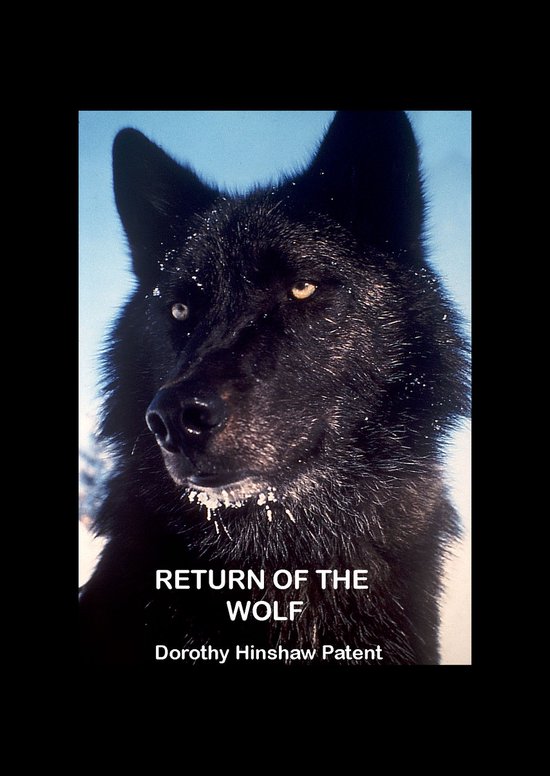 Return of the Wolf - cover
