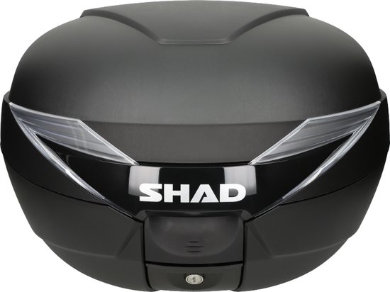 Shad