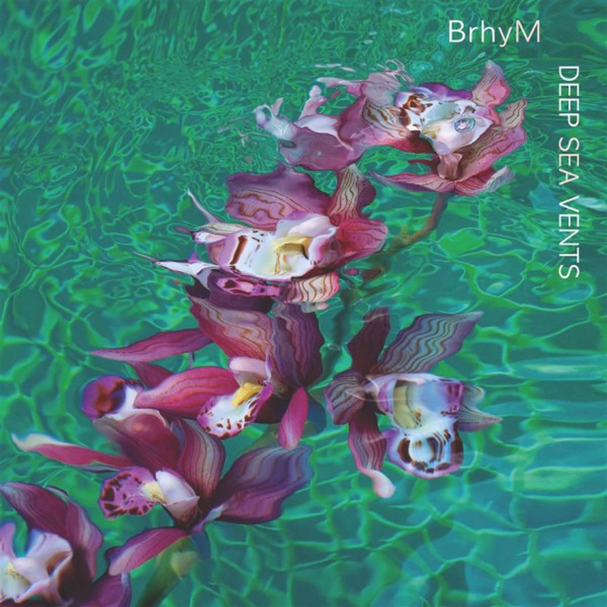 BrhyM: Deep Sea Vents (Violet) [Winyl]