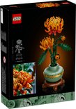 Arrière de la boîte LEGO Chrysanthème Botanical Collection avec croquis et photo de fleur.