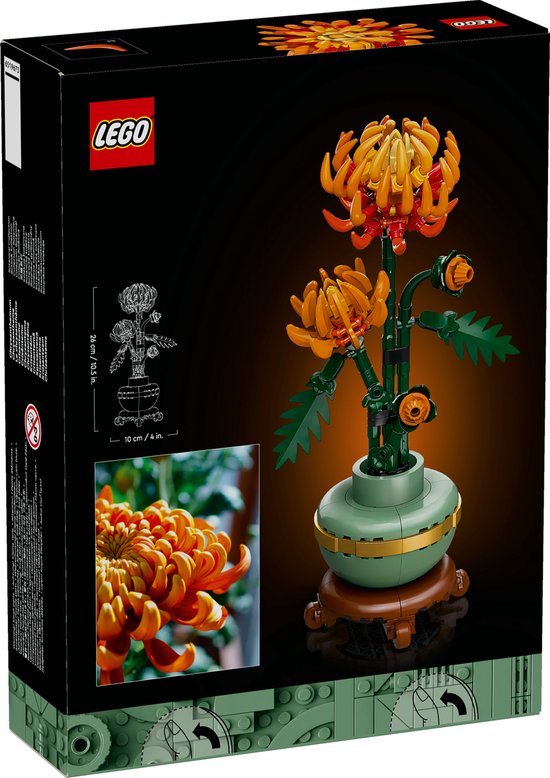 Arrière de la boîte LEGO Chrysanthème Botanical Collection avec croquis et photo de fleur.
