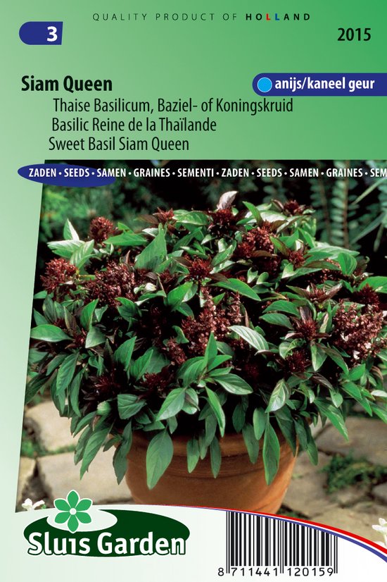 Basilicum Siam Queen