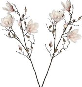 2 stuks kunstbloemen aan de muur, kunstmatige hangplanten, hangbloemen 2 stuks kunstbloemen aan de muur, kunstmatige hangplanten, hangbloemen