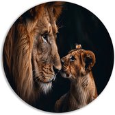 Cercle mural lion - Décoration murale Animaux ronde - Panneau mural Lionceau - Tableau Vintage - Cercles muraux - Peintures cercle mural forex 50x50 cm