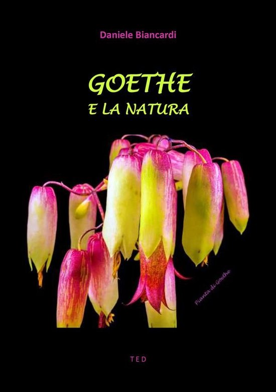 Foto: Goethe e la natura