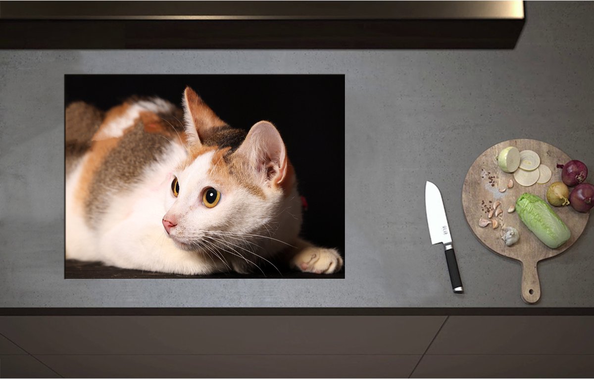 Inductieplaat Beschermer - Calicokat ligt voor zwarte achtergrond en kijkt naar zijkant - 71x52 cm - 2 mm Dik - Inductie Beschermer - Bescherming Inductiekookplaat - Kookplaat Beschermer van Wit Vinyl
