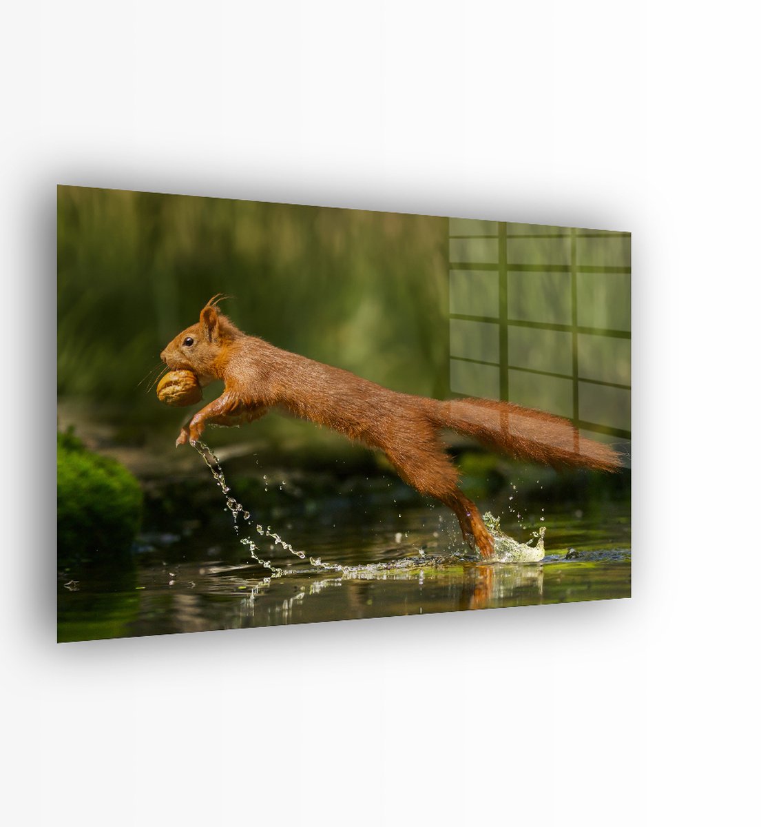 Indoorart - Glasschilderij Eekhoorn met noot 60x40 CM - Afbeelding op plexiglas - Inclusief montagemateriaal