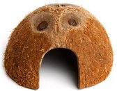 Komodo - Coconut Den