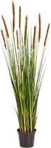 Grass Foxtail Orange-Brown - kunstplant