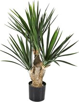 Yucca Baby (3) - kunstplant