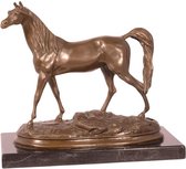 Bronzen beeld - Gedetailleerd paard - Dieren - 21 cm hoog