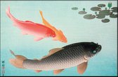 Walljar - Ohara Koson - Common And Golden Carp - Muurdecoratie - Plexiglas schilderij