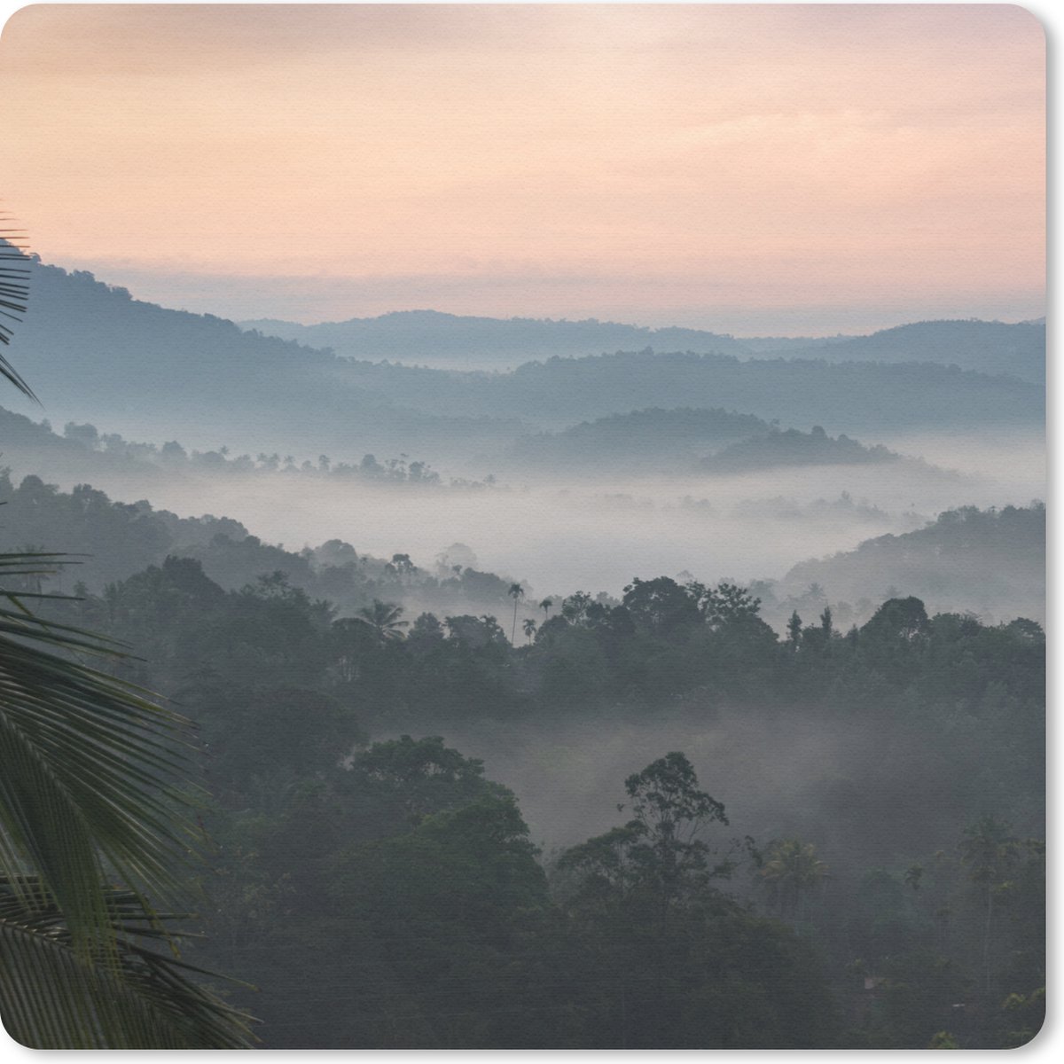 Muismat 30x30 cm - Mousepad Bos - Zon - Mist - Muismatten