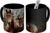 Magische Mok - Foto op Warmte Mok - Paard - Veulen - Natuur - 350 ML - Uitdeelcadeautjes