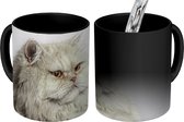 Magische Mok - Foto op Warmte Mok - Grijze Perzische kat - 350 ML - Uitdeelcadeautjes
