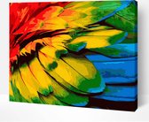 Schilderen Op Nummer Volwassenen DIY Paint By Number Compleet Hobby Pakket op Frame met Vernis - ®Arty Bee - Colourful Feathers 50x40cm