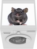 Wasmachine beschermer mat - Grijze muis - Breedte 55 cm x hoogte 45 cm