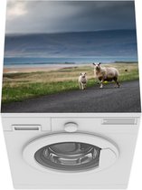 Wasmachine beschermer mat - Schaap - Lam - Storm - Breedte 60 cm x hoogte 60 cm