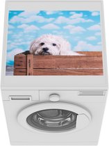 Wasmachine beschermer mat - Maltezer hond in een houten doos - Breedte 55 cm x hoogte 45 cm