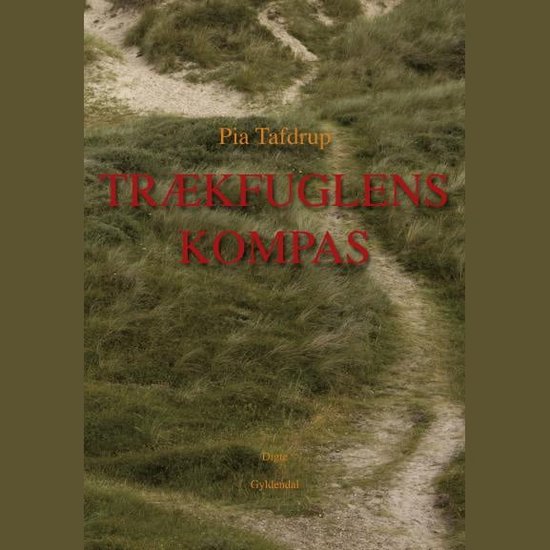 Trækfuglens kompas - cover