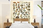 Behang - Fotobehang Paddenstoel - Herfst - Seizoenen - Vintage - Adolphe Millot - Natuur - Breedte 160 cm x hoogte 220 cm