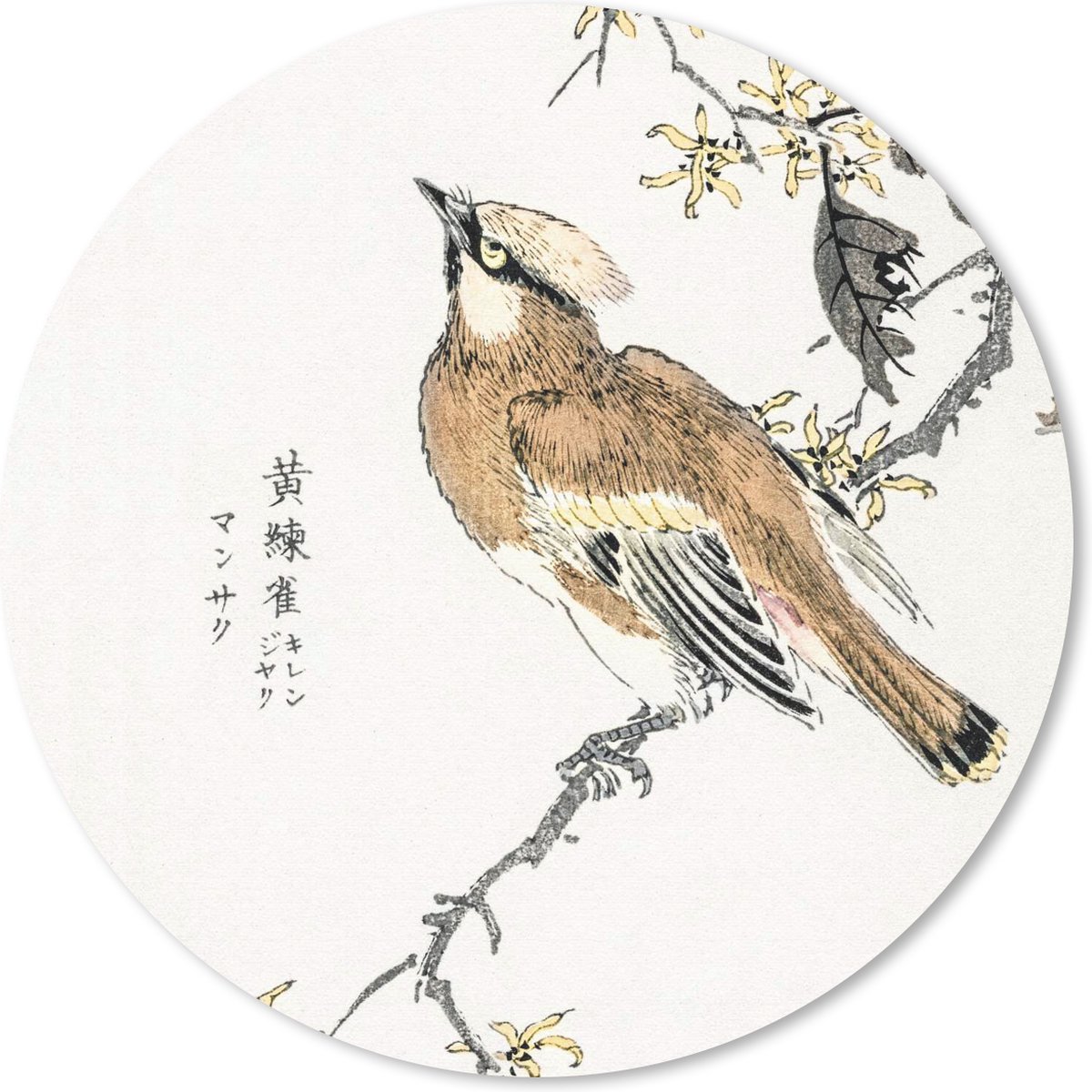Muismat rond 40x40 cm - Mousepad Vogel - Tak - Tekens - Japans - Ronde muismatten