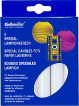 lampionkaarsen 2,5 uur wax wit 6 stuks