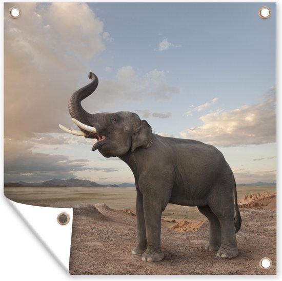 Tuin poster Trompetterende olifant in de woestijn - 200x200 cm - Tuindoek - Buitenposter