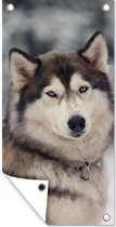 Schuttingposter Portret van een Husky - 100x200 cm - Tuindoek