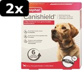 2x - BEA CANISHIELD HOND GROOT 65CM