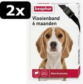 2x - BEAPHAR VLOOIENBAND HOND ZWA