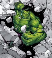 Komar Hulk Breaker Vlies Fotobehang 250x280cm 5-Banen