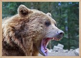 Poster Met Eiken Lijst - Carpathian Mountains Poster