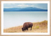 Poster Met Eiken Lijst - Wild Yellowstone Poster