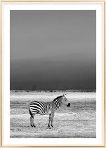 Poster Met Metaal Gouden Lijst - Wilde Zebra Poster