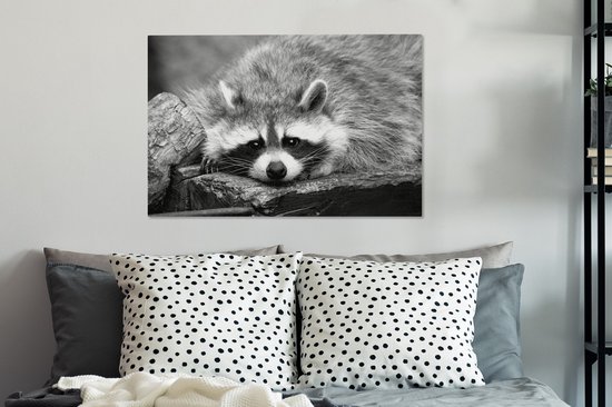 Tableau Peinture Raton Laveur Couché - noir et blanc - 90x60 cm - Décoration murale
