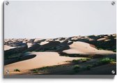 Walljar - Begroeiing In De Woestijn - Muurdecoratie - Plexiglas schilderij