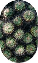 Muurovaal cactus S - 60 x 37 cm