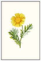 Gekroonde Ganzenbloem (Garland Daisy) - Foto op Akoestisch paneel - 150 x 225 cm