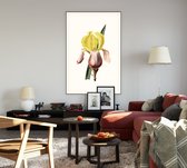 Iris (Iris White) - Foto op Akoestisch paneel - 80 x 120 cm