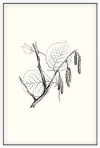 Hazelaar zwart-wit (Hazel) - Foto op Akoestisch paneel - 80 x 120 cm