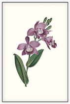 Orchidee Aquarel 1 (Orchid) - Foto op Akoestisch paneel - 80 x 120 cm