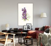 Monnikskap (Wolfbane) - Foto op Akoestisch paneel - 150 x 225 cm