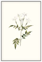 Valse Jasmijn (Jessamine White) - Foto op Akoestisch paneel - 150 x 225 cm