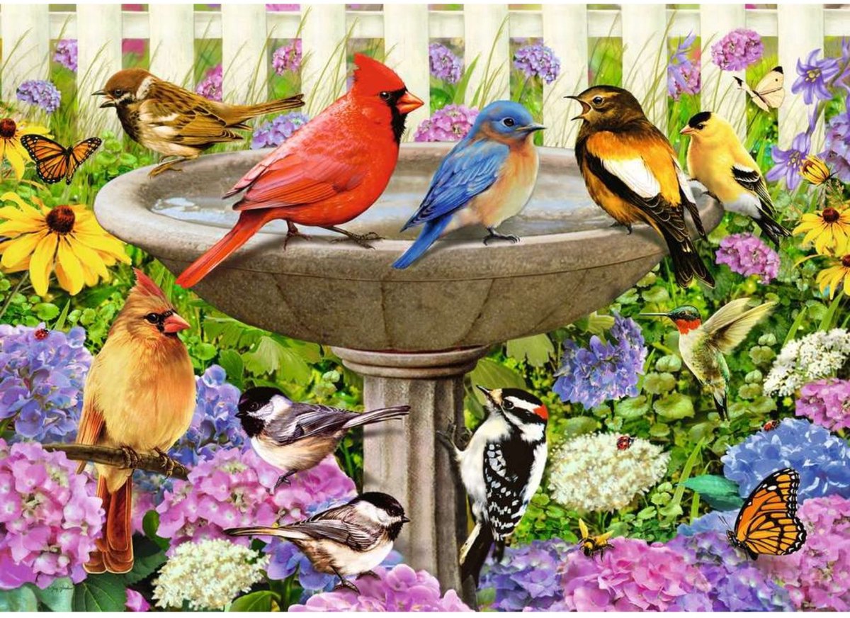 Ravensburger Puzzel Bij het Vogelbadje - Legpuzzel - 500 stukjes